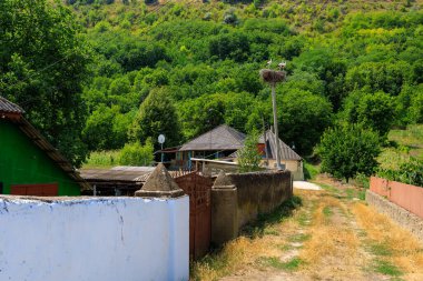 Kutuptaki leylek yuvası. Seçici odak ve kopyalama alanı olan arkaplan