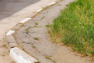 Çimleri biçme. Seçici odaklı arkaplan ve metin için alanı kopyala.