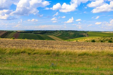 Avrupa 'nın bereketli toprakları. Seçici odak ve kopyalama alanı olan arkaplan