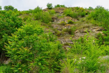 Rocky doğa. Seçici odaklı arkaplan ve metin için alanı kopyala.