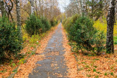 Kırık kaldırımlar. Seçici odaklı arkaplan ve metin için alanı kopyala