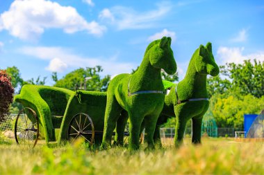 Atlar fayton çiçekliğine bağlanmış. Seçici odaklı arkaplan ve metin için alanı kopyala.