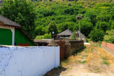 Kutuptaki leylek yuvası. Seçici odak ve kopyalama alanı olan arkaplan