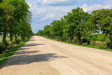Kırsal yol ezilmiş taştan yapılmış. Seçici odaklı arkaplan ve metin için alanı kopyala