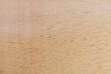 Afrika 'daki bir ağacın açık dokulu kesik yüzeyi. Ahşap zemin ya da tasarım için boş. Metin veya etiketler için bir grafik kaynağı ya da altında yatan.