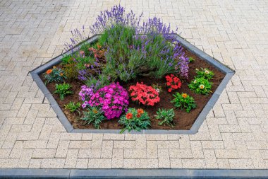 Çiçeklerle süslenmiş. Seçici odaklı arkaplan ve metin için alanı kopyala.