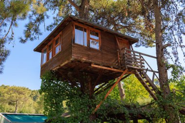 Tahta ağaç ev. Metin için kopyalama alanı olan arkaplan