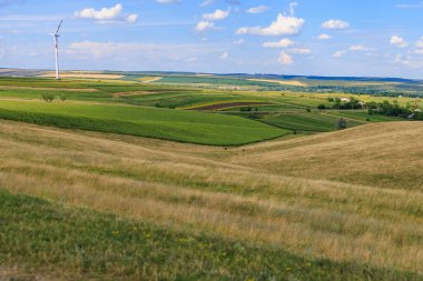 Avrupa 'nın bereketli toprakları. Seçici odak ve kopyalama alanı olan arkaplan