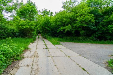 Ormanda beton döşemeler. Stratejik askeri yol. Seçici odaklı arkaplan ve metin için alanı kopyala