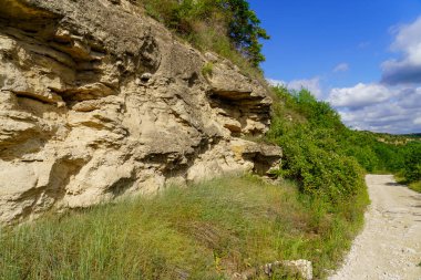 Rocky doğa. Seçici odaklı arkaplan ve metin için alanı kopyala.