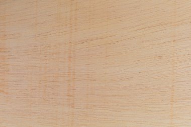 Afrika 'daki bir ağacın açık dokulu kesik yüzeyi. Ahşap zemin ya da tasarım için boş. Metin veya etiketler için bir grafik kaynağı ya da altında yatan.