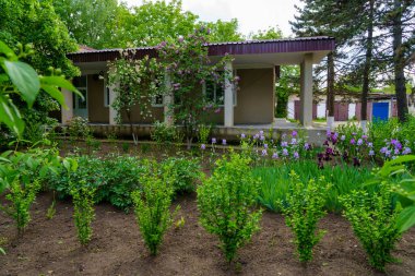 Çiçeklerle süslenmiş. Seçici odaklı arkaplan ve metin için alanı kopyala.
