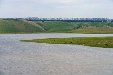 Sakin nehir. Seçici odaklı arkaplan ve metin için alanı kopyala.