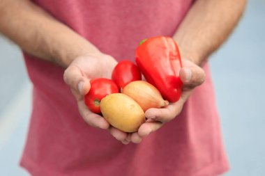 Adamın elinde sebzeler var. Bulanık arkaplan ve metin için kopyalama alanı olan ellere seçici odak.