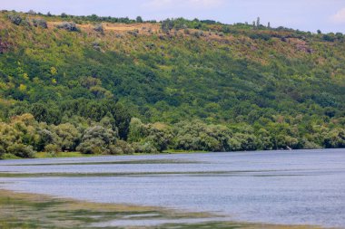 Yürüyüş sırasında nehir manzarası. Seçici odak ve kopyalama alanı olan arkaplan