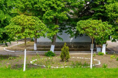 Çiçeklerle süslenmiş. Seçici odaklı arkaplan ve metin için alanı kopyala.