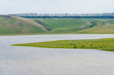 Sakin nehir. Seçici odaklı arkaplan ve metin için alanı kopyala.