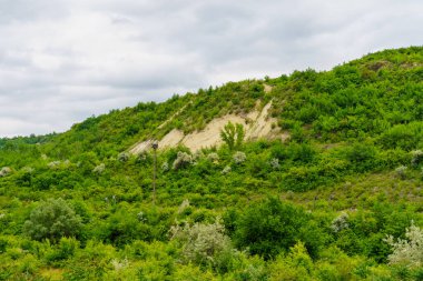 Rocky doğa. Seçici odaklı arkaplan ve metin için alanı kopyala.