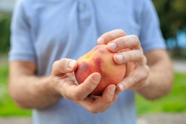 Bir erkeğin elinde şeftali, atıştırmalık ve fast food konsepti olur. Bulanık arkaplan ve metin için kopyalama alanı olan ellere seçici odak.