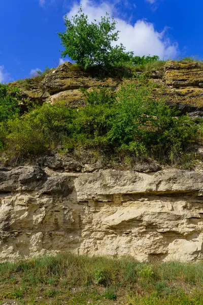 Rocky doğa. Seçici odaklı arkaplan ve metin için alanı kopyala.