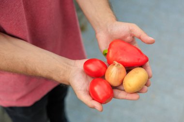 Adamın elinde sebzeler var. Bulanık arkaplan ve metin için kopyalama alanı olan ellere seçici odak.