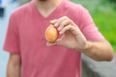 Adamın eli soğan tutuyor. Bulanık arkaplan ve metin için kopyalama alanı olan ellere seçici odak.