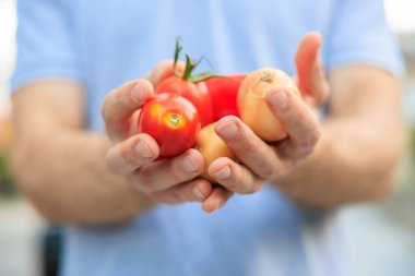 Bir adamın eli sebze tutar. Bulanık arkaplan ve metin için kopyalama alanı olan ellere seçici odak.