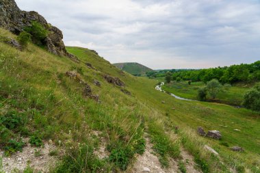 Hilly Vadisi. Seçici odaklı arkaplan ve metin için alanı kopyala.