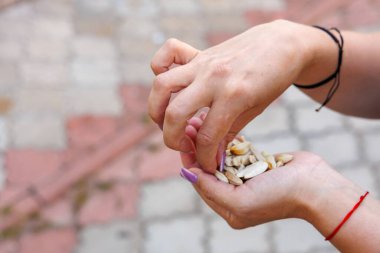 Kadının elinde ayçekirdeği, atıştırmalık ve fast food konsepti var. Bulanık arkaplan ve metin için kopyalama alanı olan ellere seçici odak.