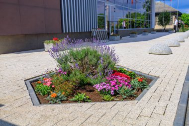 Çiçeklerle süslenmiş. Seçici odaklı arkaplan ve metin için alanı kopyala.