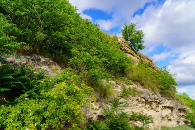 Rocky doğa. Seçici odaklı arkaplan ve metin için alanı kopyala.