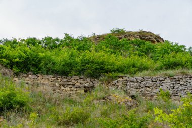 Rocky doğa. Seçici odaklı arkaplan ve metin için alanı kopyala.