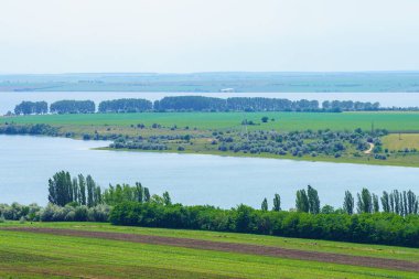 Sakin nehir. Seçici odaklı arkaplan ve metin için alanı kopyala.