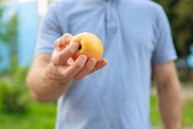 İnsanın eli elma, atıştırmalık ve fast food kavramını tutar. Bulanık arkaplan ve metin için kopyalama alanı olan ellere seçici odak.