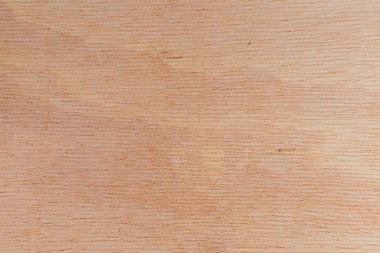 Afrika 'daki bir ağacın açık dokulu kesik yüzeyi. Ahşap zemin ya da tasarım için boş. Metin veya etiketler için bir grafik kaynağı ya da altında yatan.