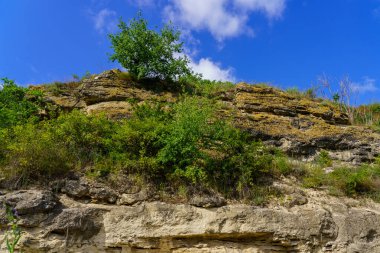 Rocky doğa. Seçici odaklı arkaplan ve metin için alanı kopyala.