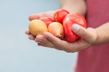 Adamın elinde sebzeler var. Bulanık arkaplan ve metin için kopyalama alanı olan ellere seçici odak.