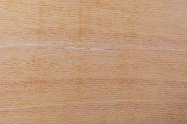 Afrika 'daki bir ağacın açık dokulu kesik yüzeyi. Ahşap zemin ya da tasarım için boş. Metin veya etiketler için bir grafik kaynağı ya da altında yatan.