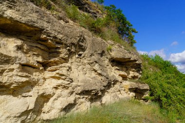 Rocky doğa. Seçici odaklı arkaplan ve metin için alanı kopyala.