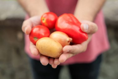Adamın elinde sebzeler var. Bulanık arkaplan ve metin için kopyalama alanı olan ellere seçici odak.