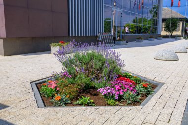 Çiçeklerle süslenmiş. Seçici odaklı arkaplan ve metin için alanı kopyala.