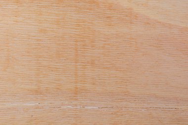 Afrika 'daki bir ağacın açık dokulu kesik yüzeyi. Ahşap zemin ya da tasarım için boş. Metin veya etiketler için bir grafik kaynağı ya da altında yatan.