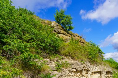 Rocky doğa. Seçici odaklı arkaplan ve metin için alanı kopyala.
