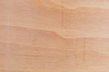 Afrika 'daki bir ağacın açık dokulu kesik yüzeyi. Ahşap zemin ya da tasarım için boş. Metin veya etiketler için bir grafik kaynağı ya da altında yatan.