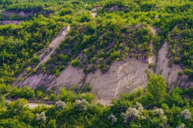 Rocky doğa. Seçici odaklı arkaplan ve metin için alanı kopyala.