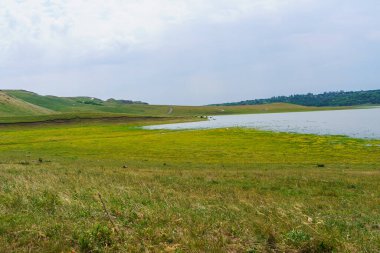 Göl ya da göl. Seçici odaklı arkaplan ve metin için alanı kopyala.
