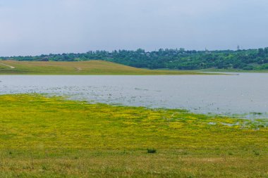 Göl ya da göl. Seçici odaklı arkaplan ve metin için alanı kopyala.