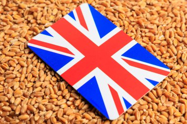 Buğday tarlasında Büyük Britanya bayrağı. Tahıl anlaşması ve dünya gıda güvenliği kavramı. Doku veya arkaplan