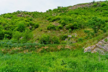 Rocky doğa. Seçici odaklı arkaplan ve metin için alanı kopyala.