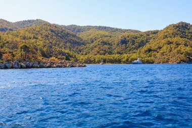 Yeşil yardım adası. Seçici odaklı arkaplan ve metin için alanı kopyala